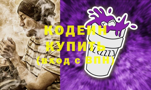 крисы Мегион