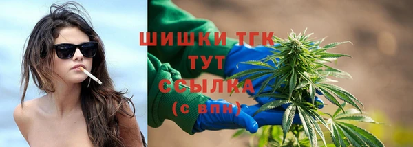дмт Медногорск