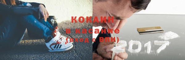 ECSTASY Майский