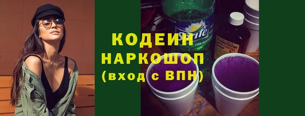 крисы Мегион